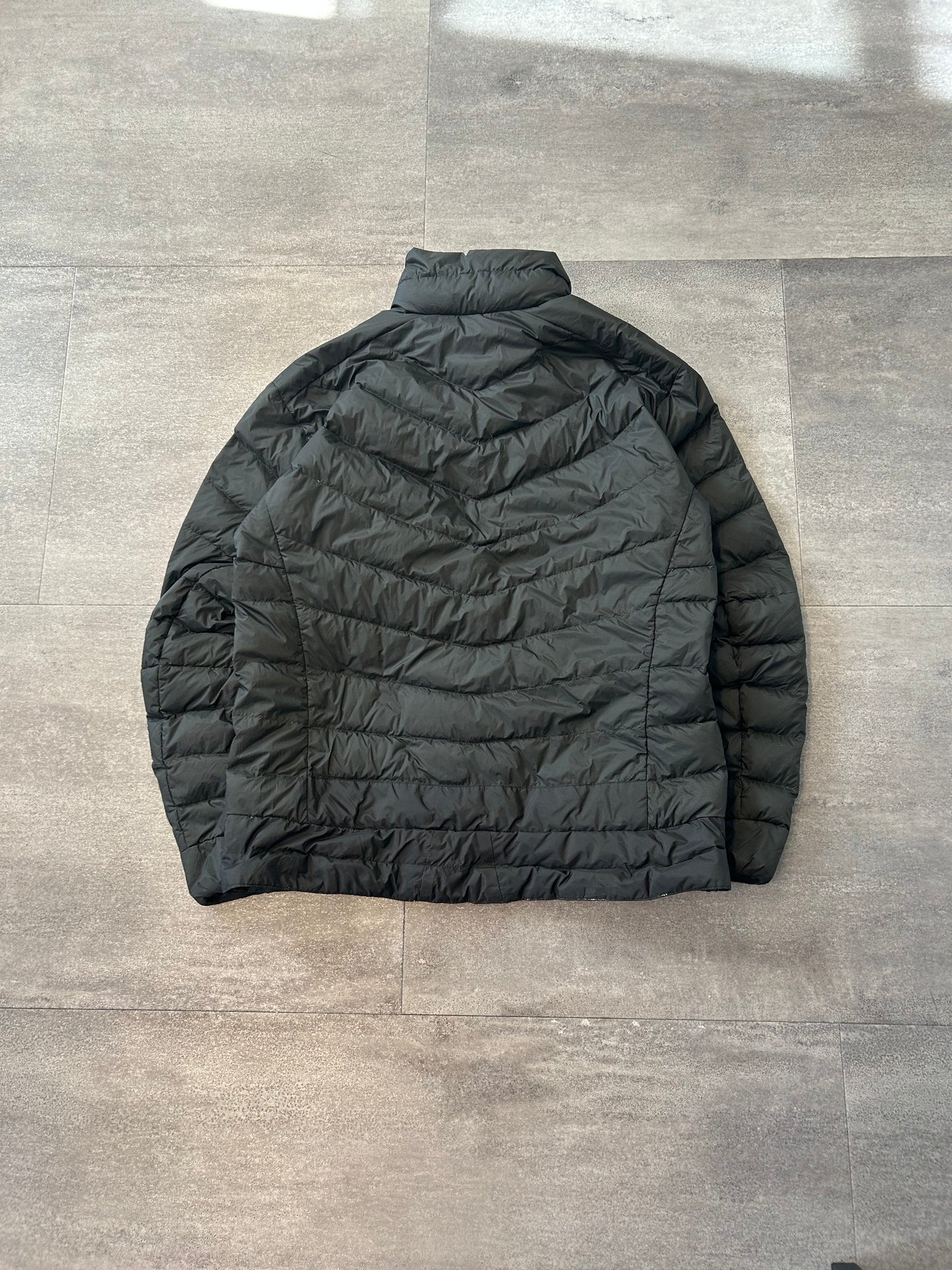 Arc'teryx Agrium Down puffer