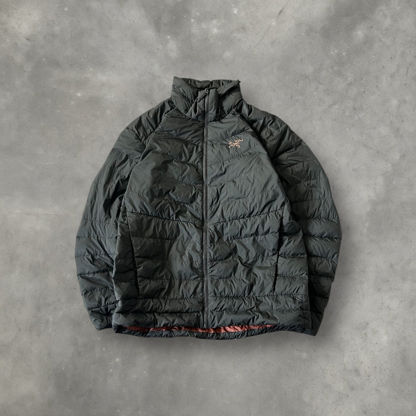 Arc'teryx Agrium Down puffer